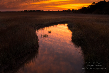 © 2013 Arnold Zann.  All Rights Reserved.  From Barefoot Contessa Photo Adventures.  For usage and fees, please e-mail Arnie (at) BCphotoadventures (dot) com or contact us at 310 Lafayette Drive, Hillsborough, NC  27278 or at 919-643-3036 before 9 p.m. Eastern Time, ET.