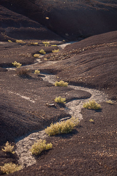 © 2010 Arlene Dedrick.  All Rights Reserved.  Barefoot Contessa Photo Adventures' Canyon de Chelly & Navajoland photo workshop