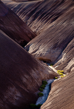 © 2010 Jim Moore.  All Rights Reserved.  Barefoot Contessa Photo Adventures' Canyon de Chelly & Navajoland photo workshop