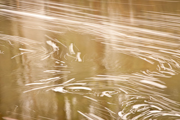 © 2010 Christine Olejniczak.  All Rights Reserved.  From Barefoot Contessa Photo Adventures' Yosemite National Park alumni photo workshop