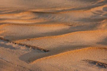 © 2010 Lizette Lampe.  All Rights Reserved.  From Barefoot Contessa Photo Adventures' Lighthouses of the Outer Banks photo workshop