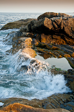 © 2010 Brad Moore.  All Rights Reserved.  Barefoot Contessa Photo Adventures' Summertime on the Maine Coast photo workshop