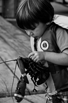 © 2010 Dave Huff.  All Rights Reserved.  Barefoot Contessa Photo Adventures' Summertime on the Maine Coast photo workshop