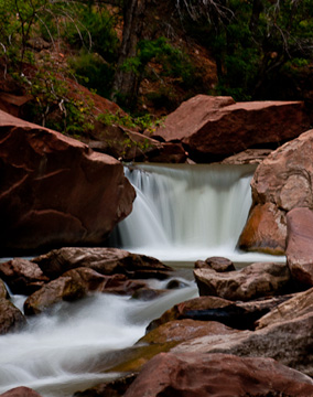 © 2010 Jeff Wilkes.  All Rights Reserved.  Barefoot Contessa Photo Adventures' Zion & Bryce Canyon National Parks photo workshop