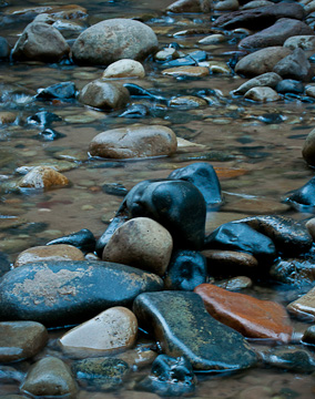 © 2010 Teri Storin.  All Rights Reserved.  Barefoot Contessa Photo Adventures' Zion & Bryce Canyon National Parks photo workshop