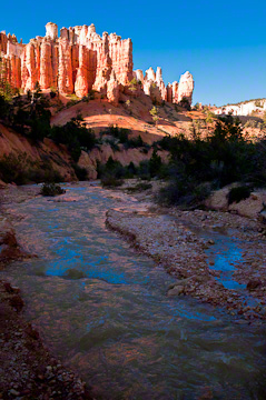 © 2010 Margo Taussig Pinkerton.  All Rights Reserved.  From Barefoot Contessa Photo Adventures' Zion  Bryce Canyon National Parks.  For usage and fees, please e-mail BC (at) ZAPphoto (dot) com or contact us at 310 Lafayette Drive, Hillsborough, NC  27278 or at 919-643-3036 before 9 p.m. east-coast time.