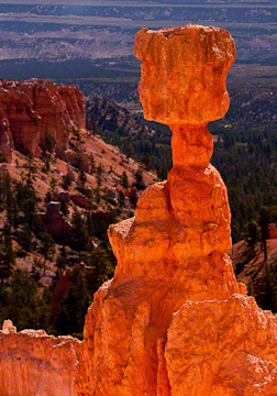 © 2010 Margo Taussig Pinkerton.  All Rights Reserved.  From Barefoot Contessa Photo Adventures' Zion  Bryce Canyon National Parks.  For usage and fees, please e-mail BC (at) ZAPphoto (dot) com or contact us at 310 Lafayette Drive, Hillsborough, NC  27278 or at 919-643-3036  before before 9 p.m. east-coast time.