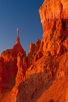 © 2010 Margo Taussig Pinkerton.  All Rights Reserved.  From Barefoot Contessa Photo Adventures' Zion  Bryce Canyon National Parks.  For usage and fees, please e-mail BC (at) ZAPphoto (dot) com or contact us at 310 Lafayette Drive, Hillsborough, NC  27278 or at 919-643-3036  before before 9 p.m. east-coast time.