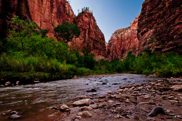 © 2010 Margo Taussig Pinkerton.  All Rights Reserved.  From Barefoot Contessa Photo Adventures' Zion  Bryce Canyon National Parks.  For usage and fees, please e-mail BC (at) ZAPphoto (dot) com or contact us at 310 Lafayette Drive, Hillsborough, NC  27278 or at 919-643-3036  before before 9 p.m. east-coast time.