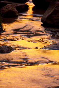 © 2010 Margo Taussig Pinkerton.  All Rights Reserved.  From Barefoot Contessa Photo Adventures' Zion  Bryce Canyon National Parks.  For usage and fees, please e-mail BC (at) ZAPphoto (dot) com or contact us at 310 Lafayette Drive, Hillsborough, NC  27278 or at 919-643-3036  before before 9 p.m. east-coast time.