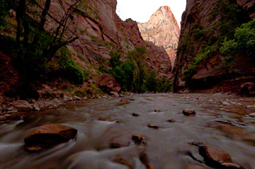 © 2010 Margo Taussig Pinkerton.  All Rights Reserved.  From Barefoot Contessa Photo Adventures' Zion  Bryce Canyon National Parks.  For usage and fees, please e-mail BC (at) ZAPphoto (dot) com or contact us at 310 Lafayette Drive, Hillsborough, NC  27278 or at 919-643-3036 before 9 p.m. east-coast time.