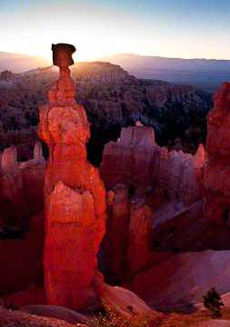 © 2010 Margo Taussig Pinkerton.  All Rights Reserved.  From Barefoot Contessa Photo Adventures' Zion  Bryce Canyon National Parks.  For usage and fees, please e-mail BC (at) ZAPphoto (dot) com or contact us at 310 Lafayette Drive, Hillsborough, NC  27278 or at 919-643-3036 before 9 p.m. east-coast time.