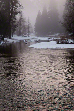 © 2010 Margo Taussig Pinkerton.  All Rights Reserved.  From Barefoot Contessa Photo Adventures' Yosemite National Park photo workshop