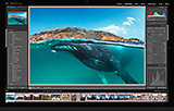 Adobe Lightroom Classic