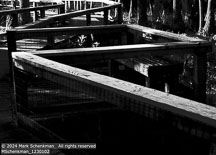 Charleston | Student Photos