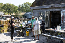 Maine Coast | Student Candids