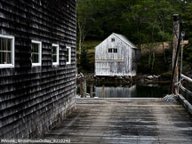 Maine Coast | Student Photos