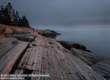 Maine Coast | Student Photos
