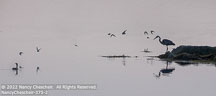 Maine Coast | Student Photos