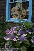 Monhegan Island | Student Photos