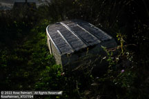 Monhegan Island | Student Photos