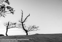 Outer Banks Fall | Student Photos