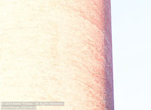 Outer Banks Fall | Student Photos