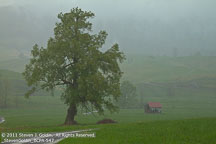 Private Workshops | Student Photos