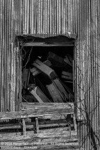 Tobacco | Student Photos