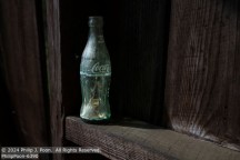 Tobacco | Student Photos