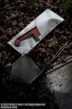 Tobacco | Student Photos