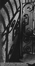 Albuquerque-S. Fé | Student Photos