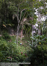 Belize | Student Photos Belize | Student Photos