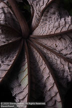 Belize | Student Photos