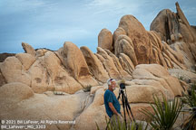 Joshua Tree | Student Candids