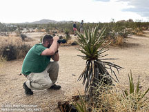 Joshua Tree | Student Candids