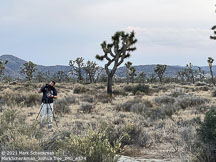 Joshua Tree | Student Candids