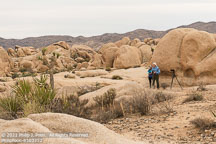 Joshua Tree | Student Candids