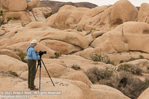 Joshua Tree | Student Candids