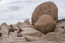 Joshua Tree | Student Candids