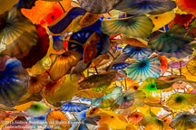 Las Vegas | Student Photos