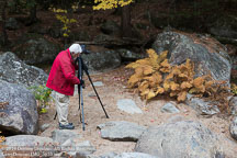 New England Fall | Student Candids