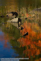 New England Fall | Student Photos