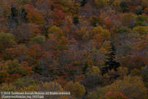 New England Fall | Student Photos New England Fall | Student Photos