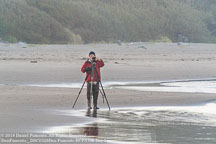 Oregon Coast | Student Candids