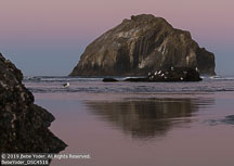 Oregon Coast | Student Photos