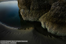 Oregon Coast | Student Photos