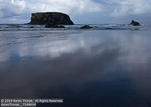Oregon Coast | Student Photos
