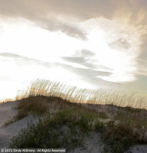 Outer Banks Spring | Student Photos