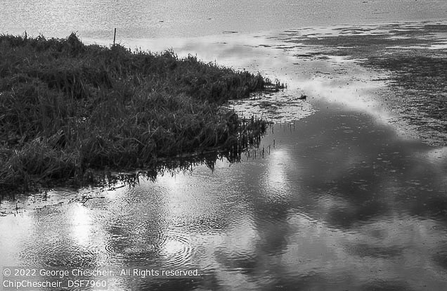 Outer Banks Winter | Student Photos